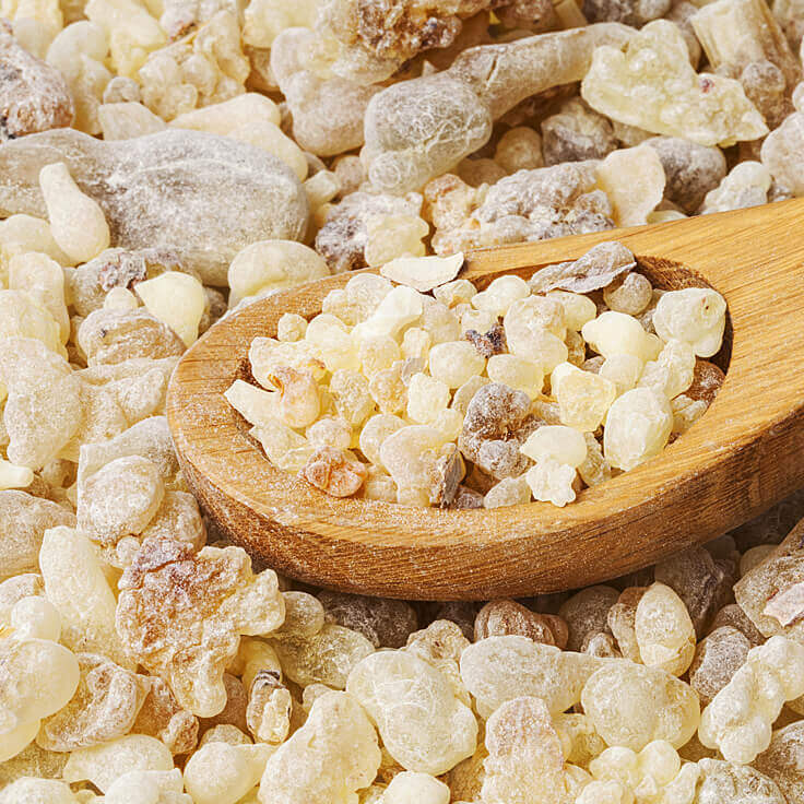 Sacred Frankincense