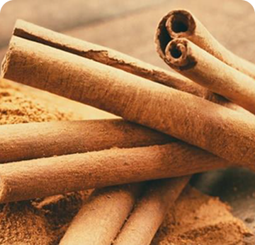 Ceylon Cinnamon Bark